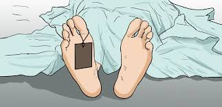 सहकारी पीडित चतुर्वेदी मृत भेटिए