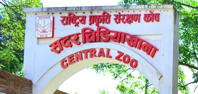 गत आवमा चिडियाखानाको आम्दानी रु १७ करोड ७५ लाख, लक्ष्यमा पुग्न सकेन