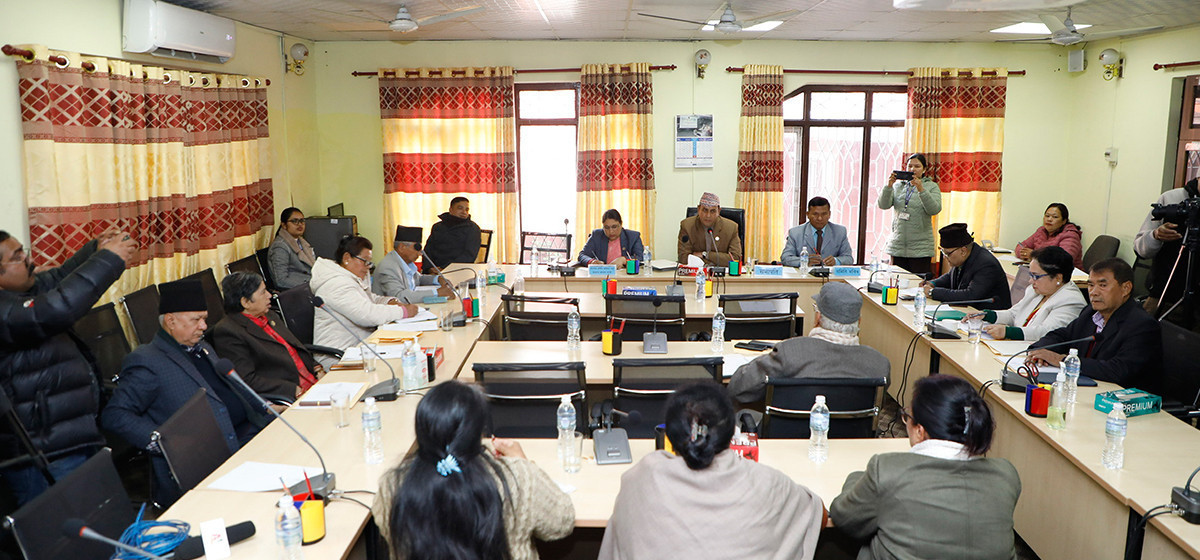 संवैधानिक परिषद्सम्बन्धी ऐन २०६६ लाई संशोधन गर्न बनेको विधेयक  पारित