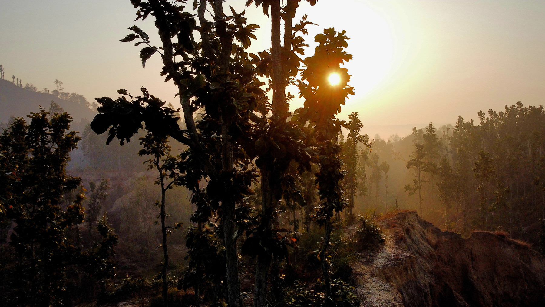 उदाउँदै गरेको  सूर्य