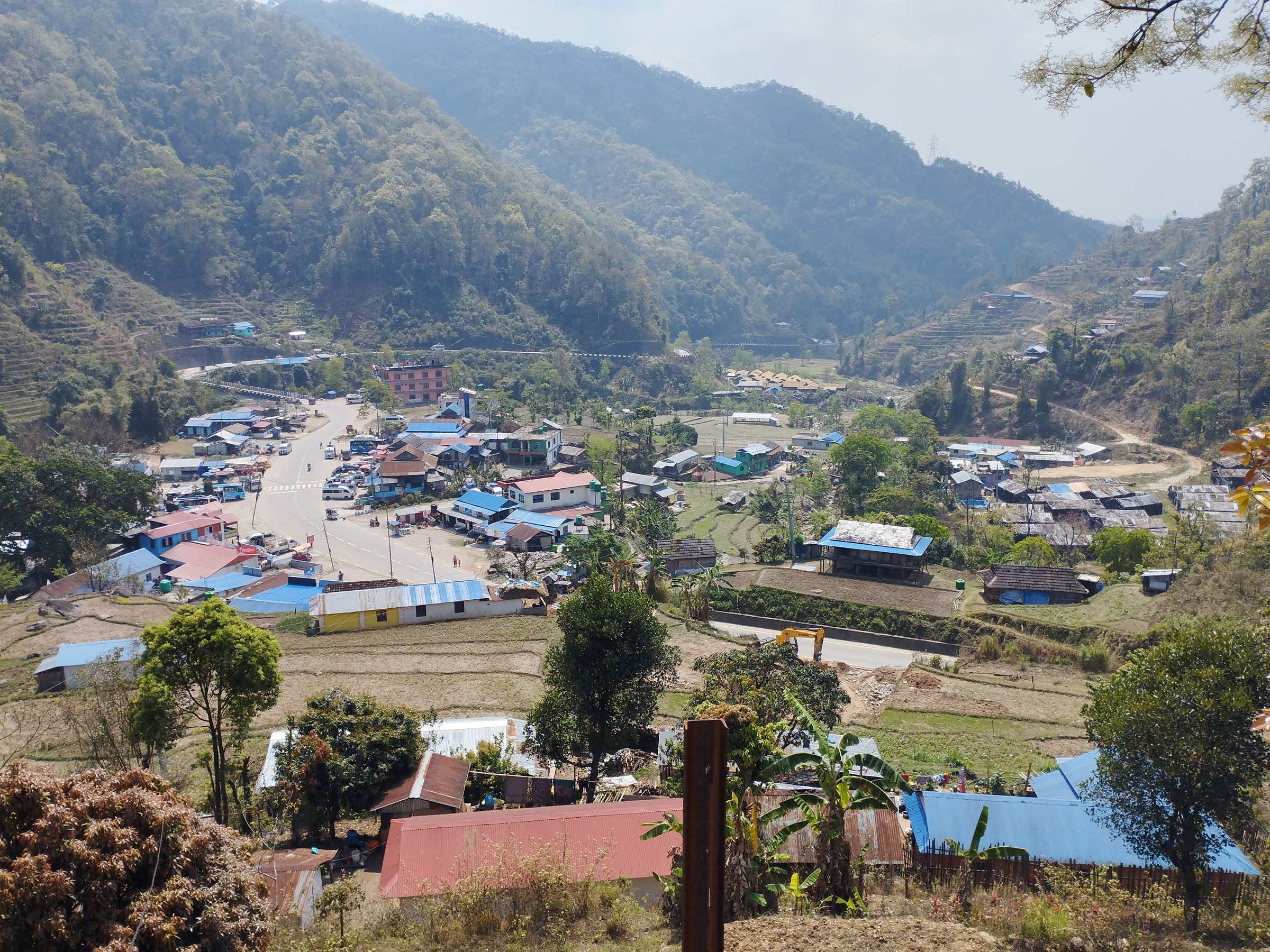 सिन्धुलीको चियाबारी