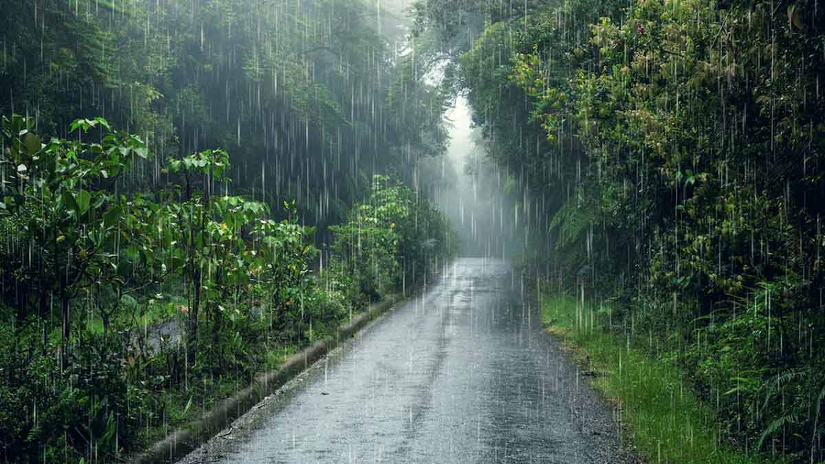 देशभर फैलियो मनसुन