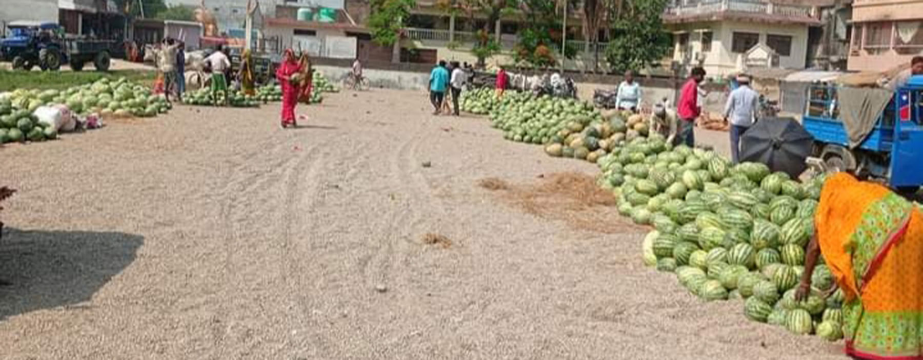 गर्मी बढेसँगै खरबुजाको व्यापार