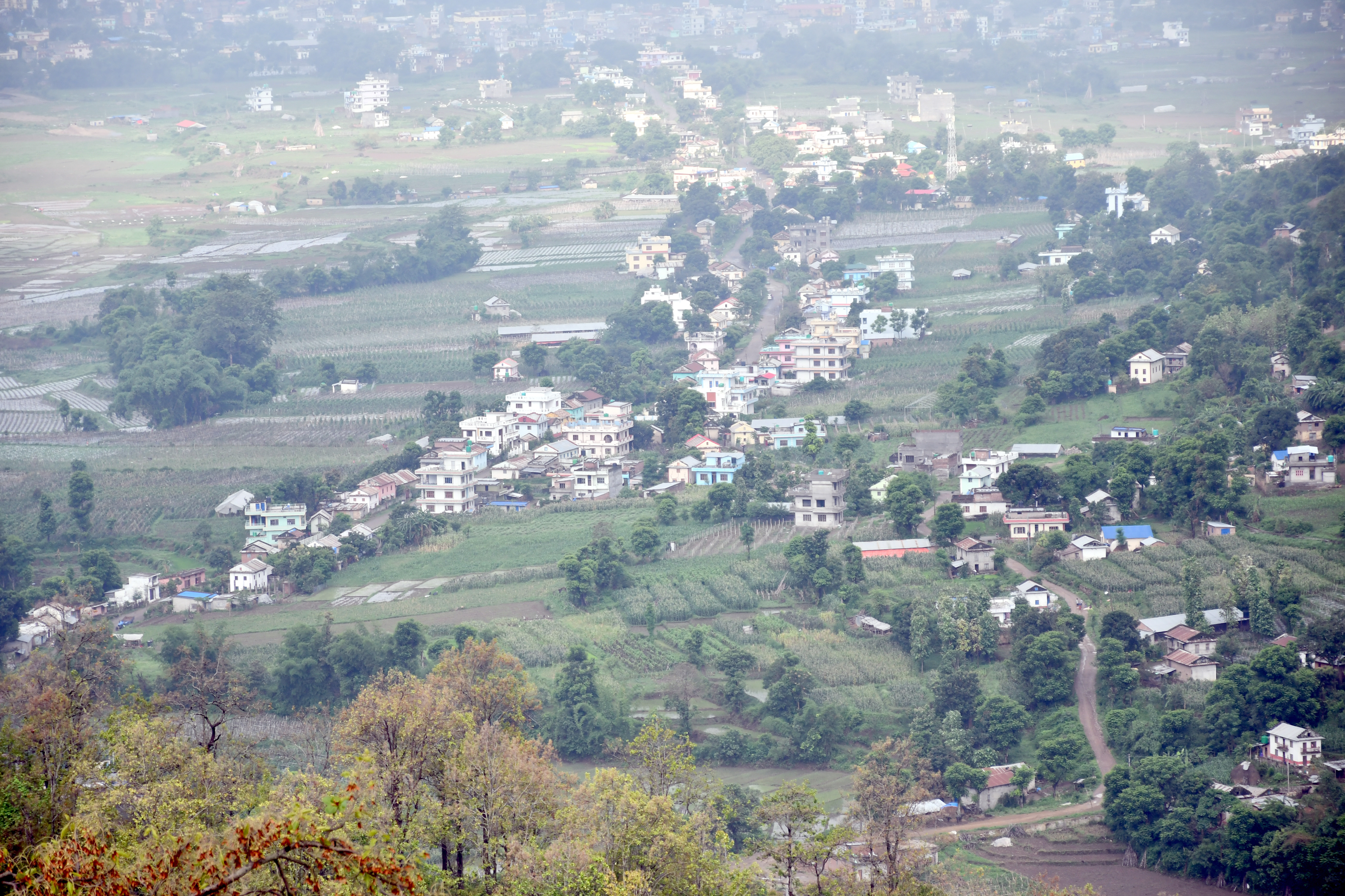 मसिना गाउँ
