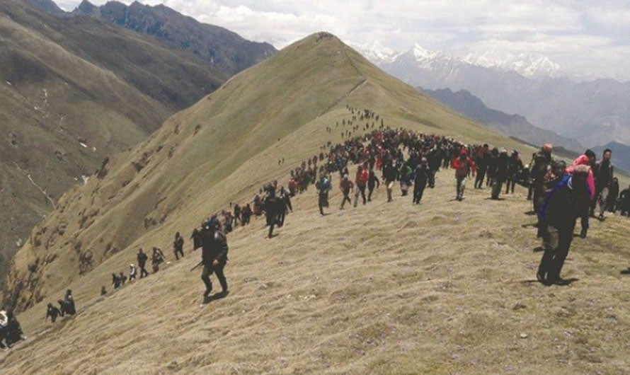 यार्सा संकलनमा गएका तीन जनाको मृत्यु, एक सिकिस्त