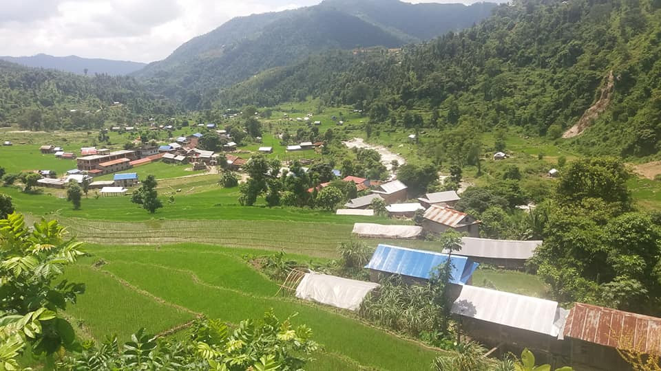 खानीखोलाको जोड कफी खेतीमा