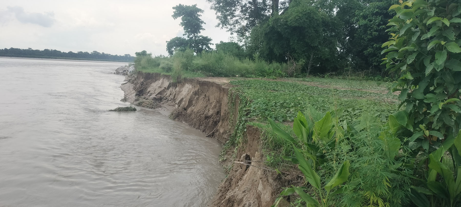 महाकाली नदीले कटान गरेको खेतीयोग्य जमीन