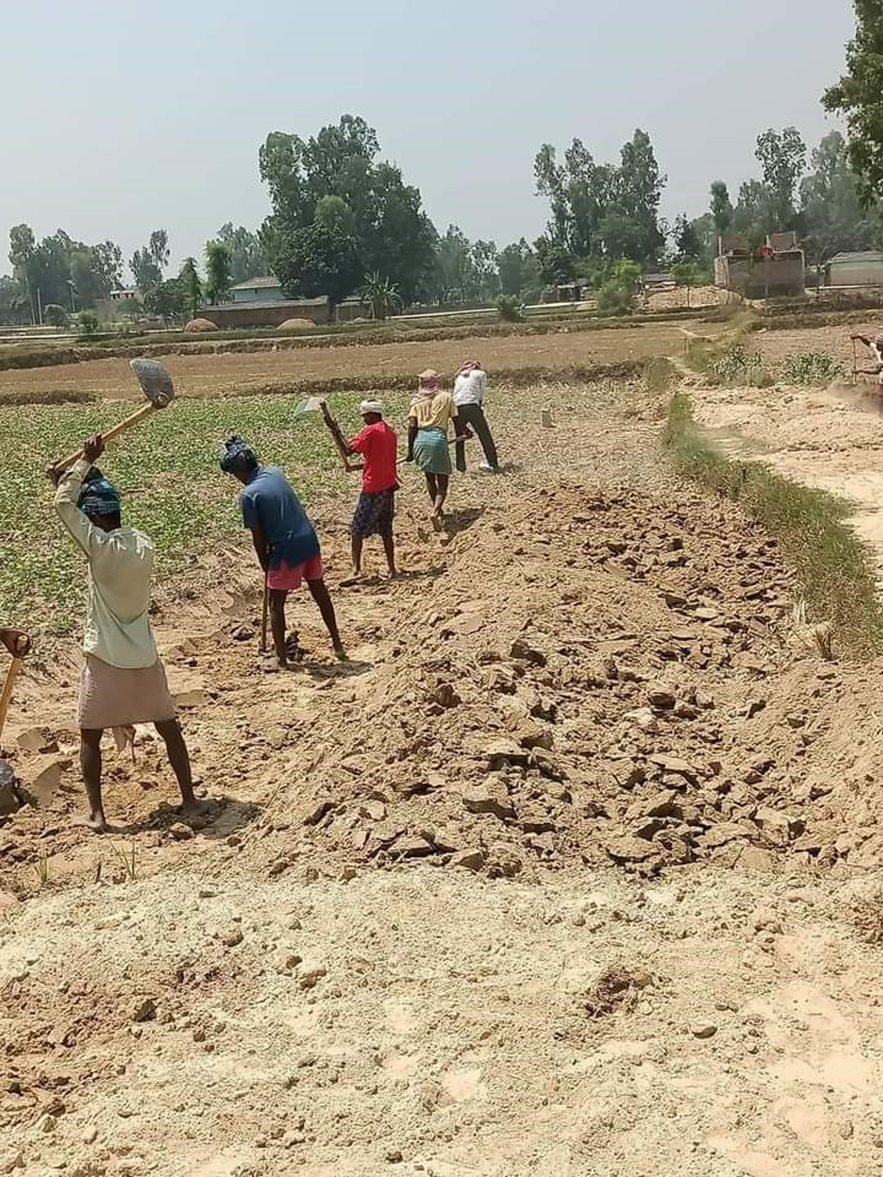 कृषि सडक बनाइँदै