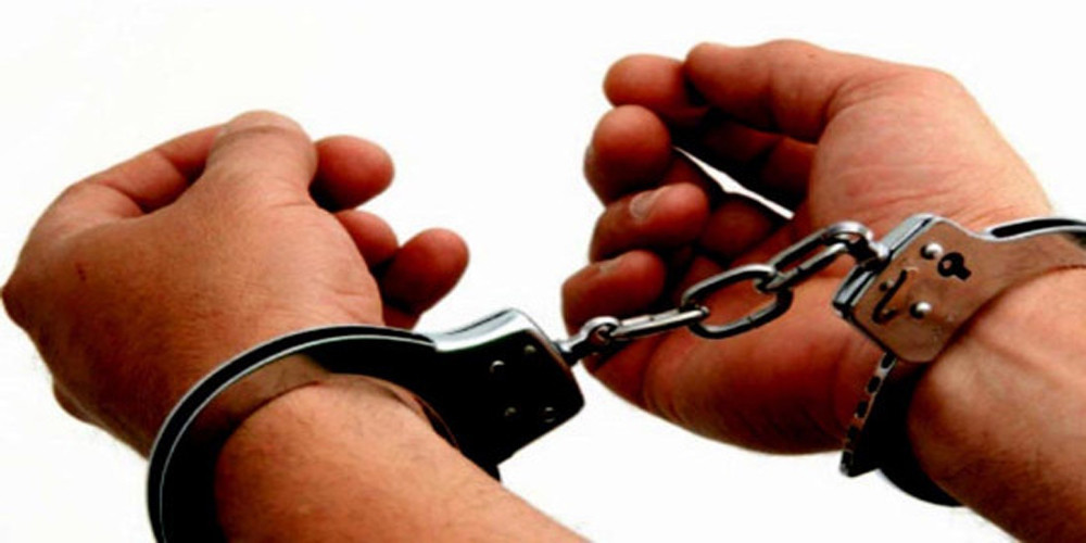 विदेशी नागरिक बनेर आठ लाख ठगी