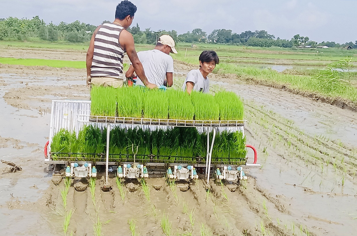 धान रोपाइँ गर्न दमकल प्रयोग