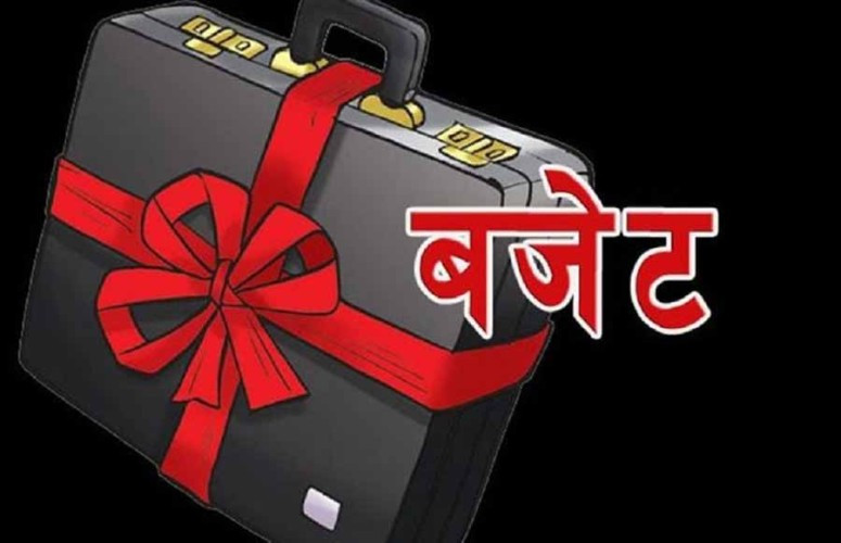 नागरिकका आवश्यकता केन्द्रित बजेट बनाउन कांग्रेसको जोड