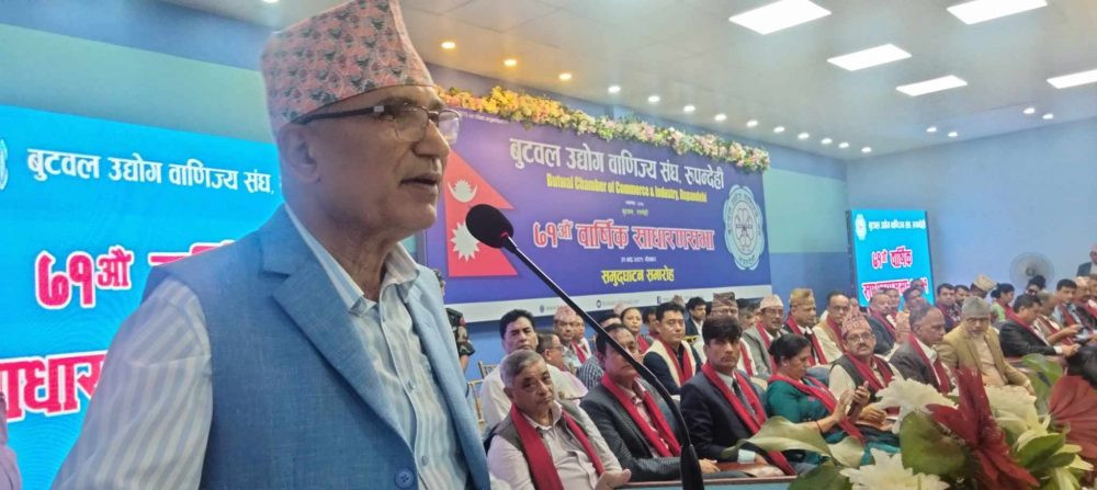 विकासका लागि बलियो सरकार बनेको हो:उपप्रधानमन्त्री पौडेल