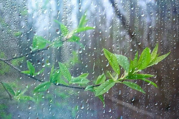 कस्तो छ आजको मौसम पूर्वानुमान ? कहाँ कहाँ पर्छ पानी ?