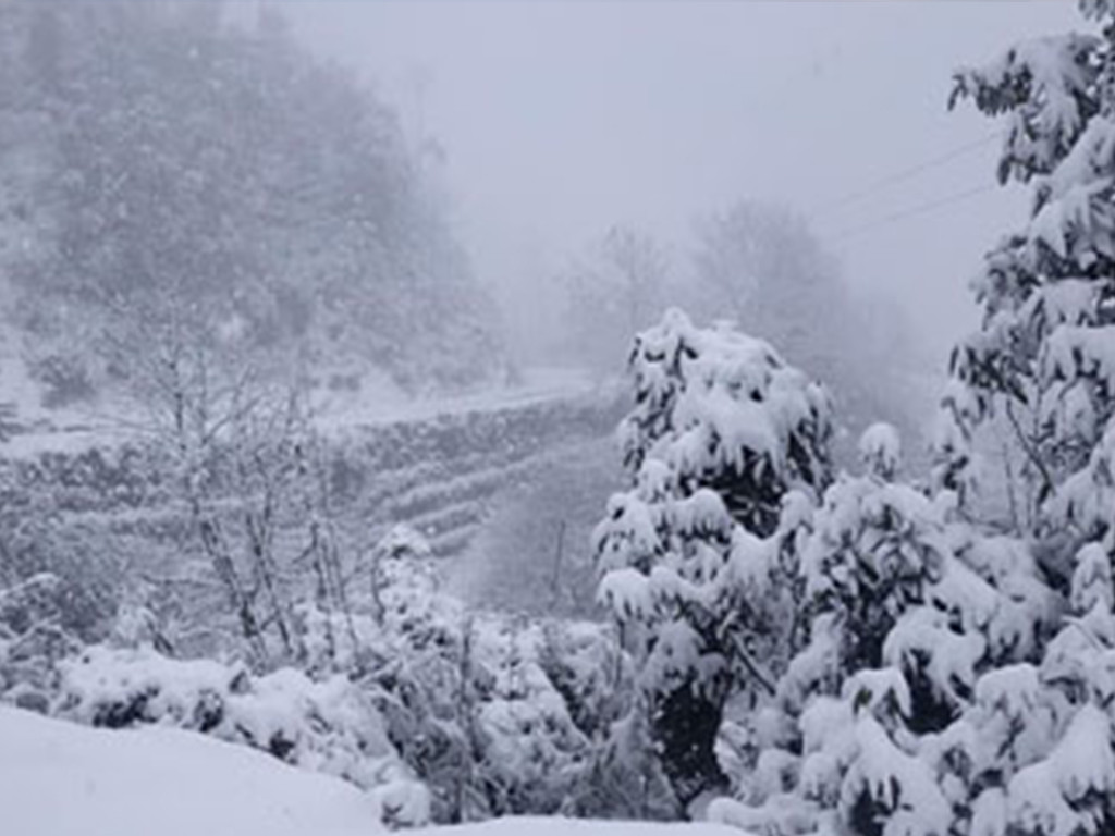 पहाडी भेगमा वर्षा, उच्च पहाडी र हिमाली भेगमा हिमपातको सम्भावना