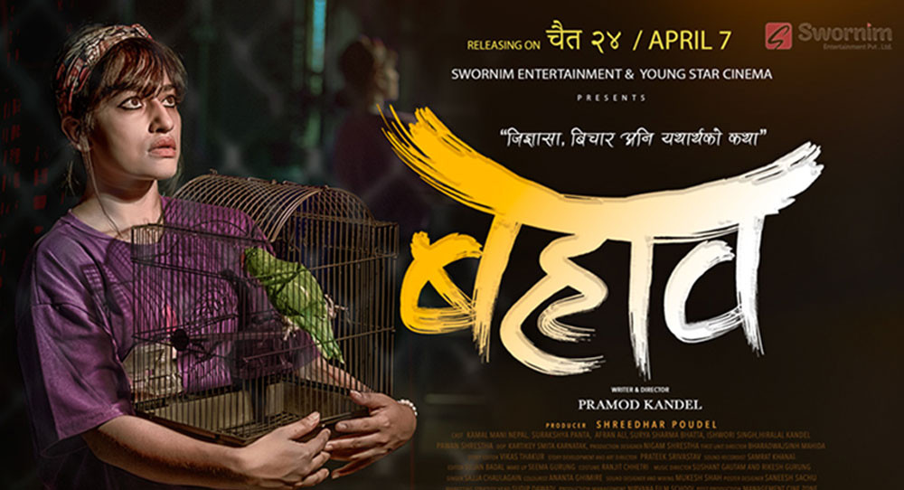 मोफसलमा बढ्दै चलचित्र गतिविधि