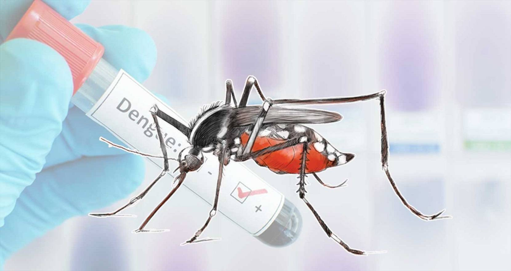 डेङ्गुबाट चितवनमा दुई हजार सङ्क्रमित