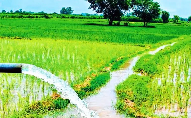 सिँचाइले उत्पादन बढायो