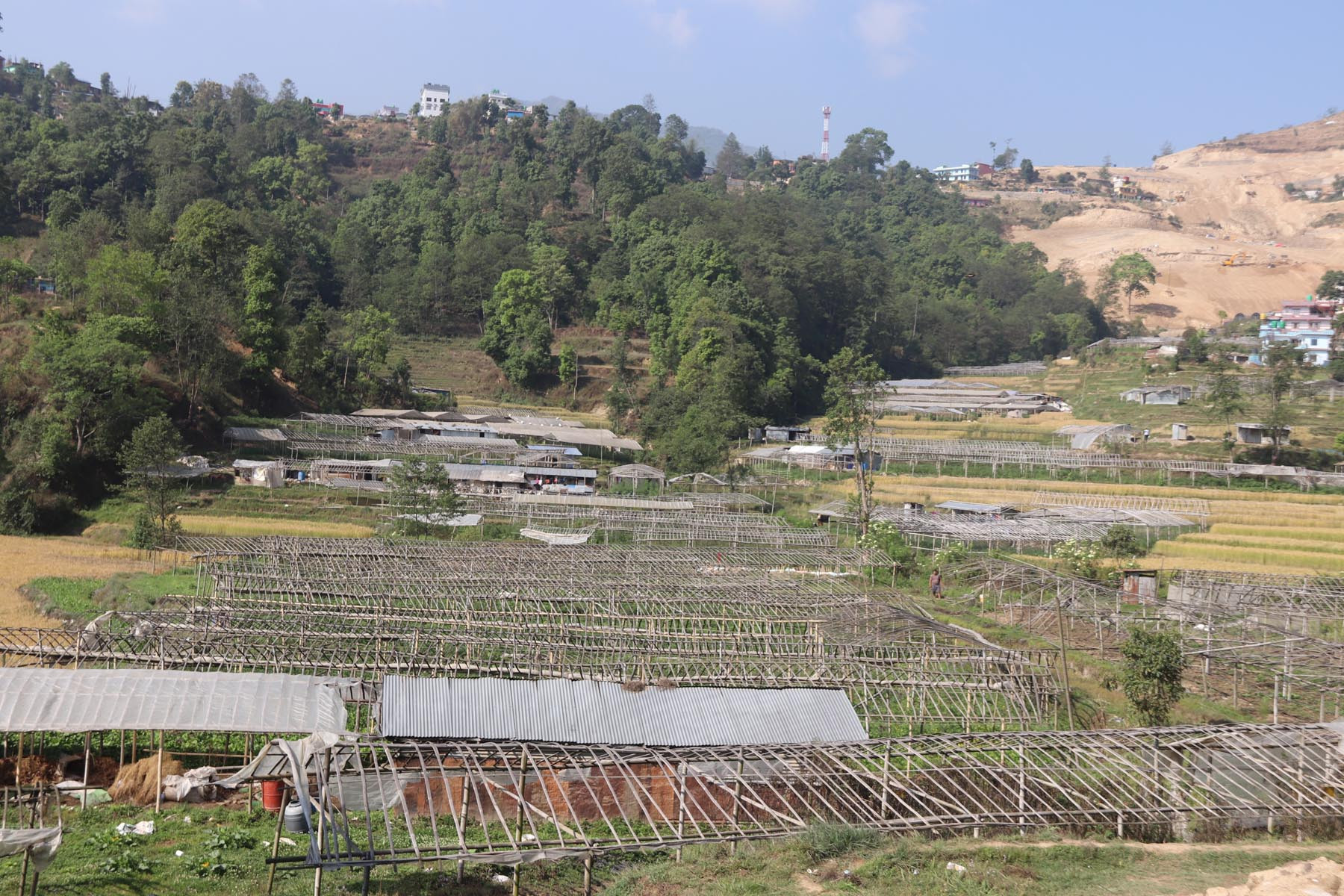 कृषि फार्ममा अनुगमन गर्दैनन् स्थानीय सरकार