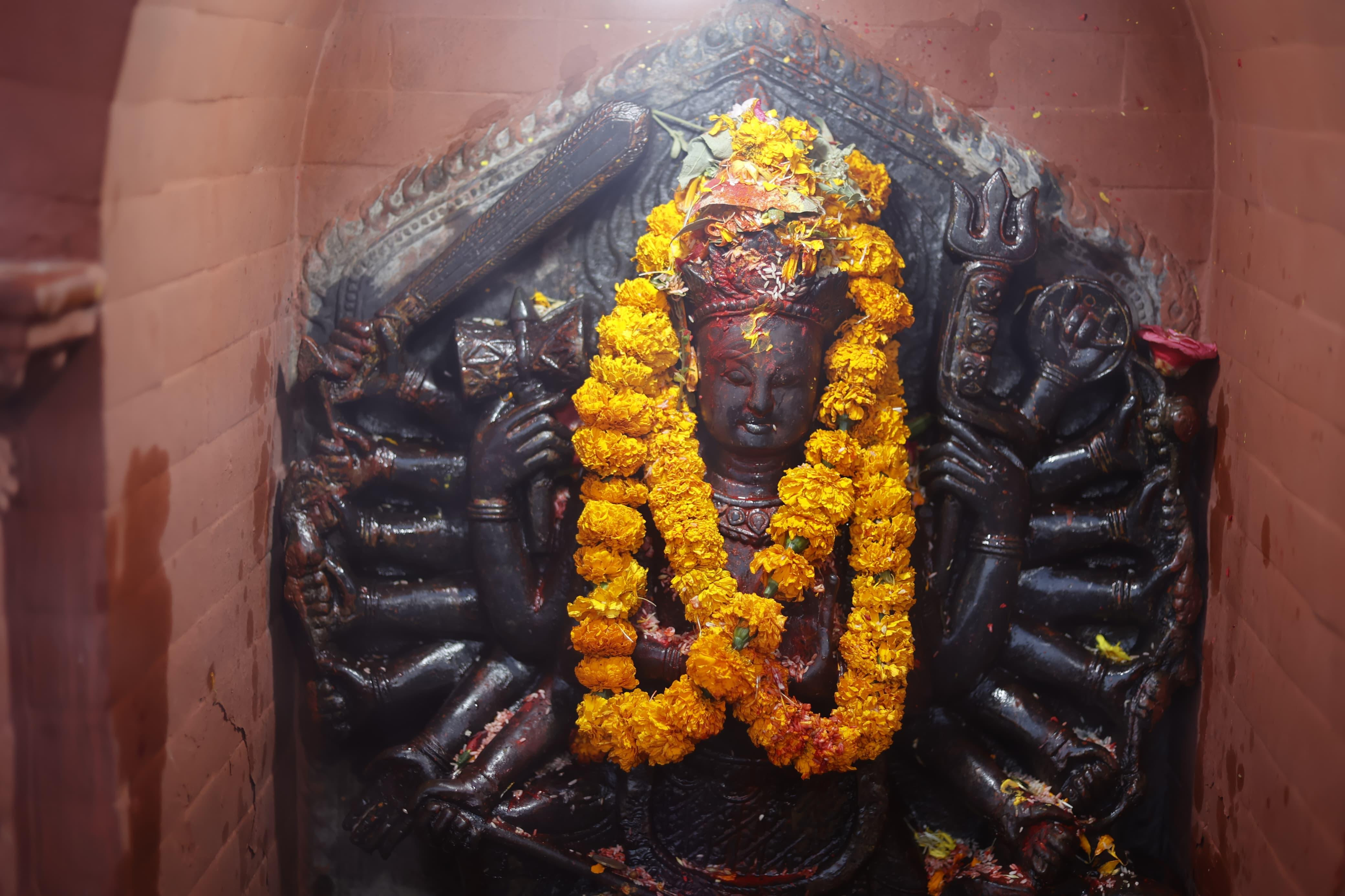 आज वसन्त पञ्चमी, सरस्वतीको पूजा आराधना गरिँदै