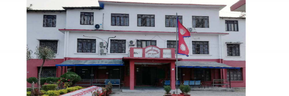 रास्वपा सभापति लामिछानेको मुद्दाको सुनुवाई स्थगित