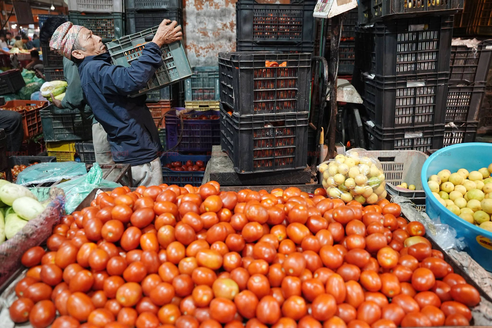 गोलभेँडा बजार व्यवस्थापनमा मन्त्री चौधरी सक्रिय, उपत्यका बाहिर निकासी हुँदै