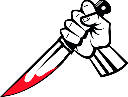 गौशालामा एक व्यक्तिमाथि चक्कु प्रहार, घटनास्थलबाट पेस्तोल बरामद