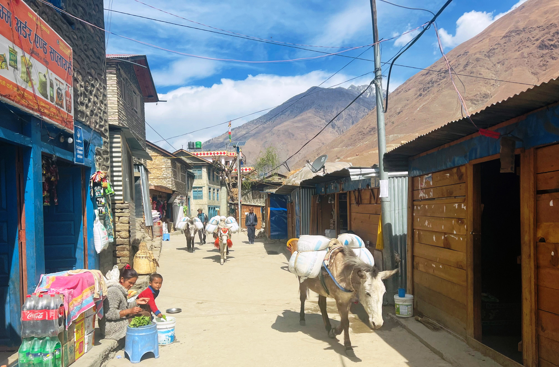 खच्चडबाट ढुवानी