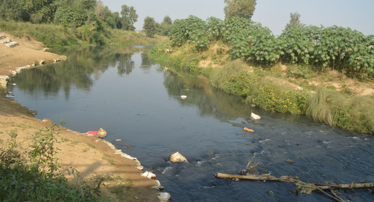 सिर्सिया नदी किनारमा वृक्षरोपण गर्दै महानगरपालिका