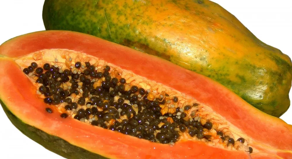 अमृततुल्य हो मेवा, जान्नुहोस् ५ फाइदा