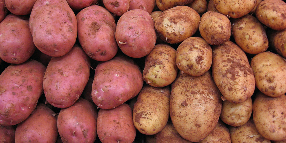 आलु गाउँ हेमजामा ‘राष्ट्रिय आलु महोत्सव’ शुरु