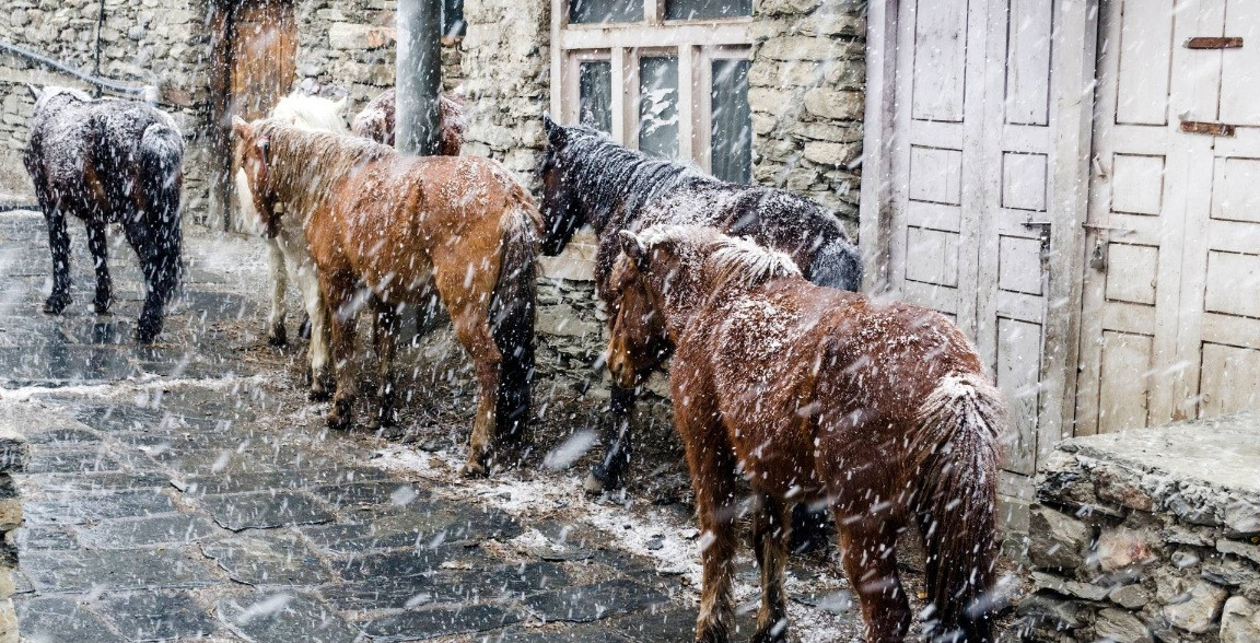 उच्च पहाडी तथा हिमाली भूभागका केही स्थानमा मध्यम हिमपातसहित वर्षाको सम्भावना