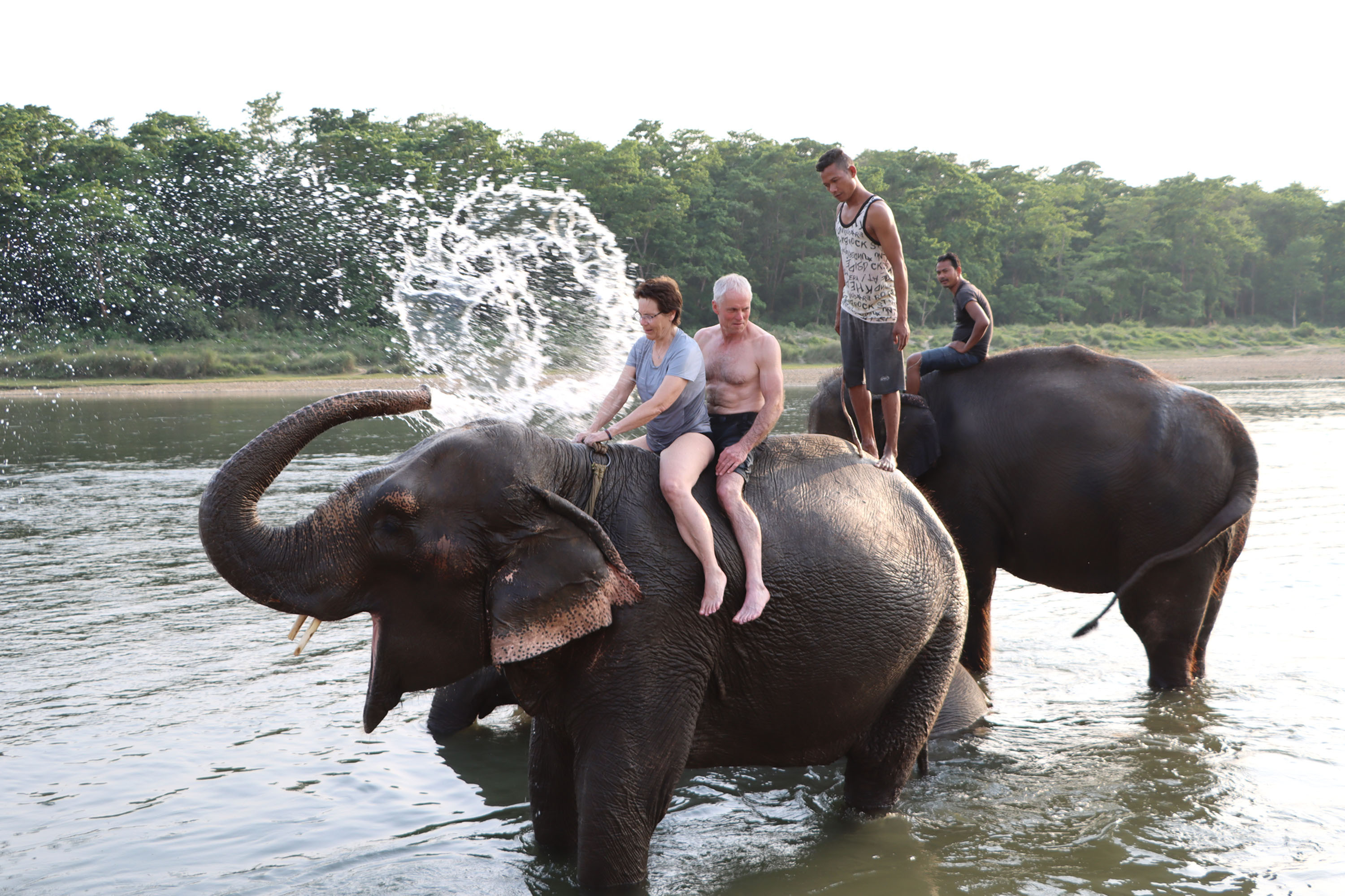 हात्तीमा रमाउँदै पर्यटक